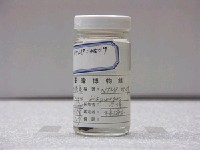 藏品(雙棘奇蓋刺魚)的圖片